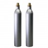 GAS UP 2 Bombole ricaricabile CO2 Acqua Frizzante da 425 gr. GAS UP con attacco ACME